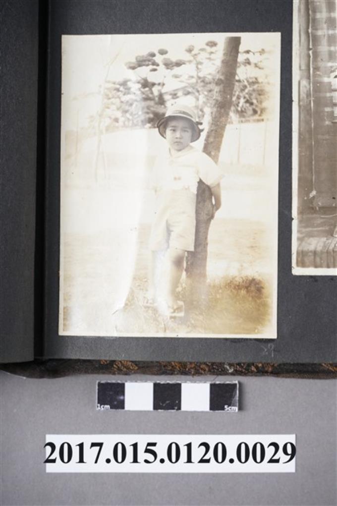 一位穿著小學制服並戴著帽子靠在樹上的小孩照片 (共2張)