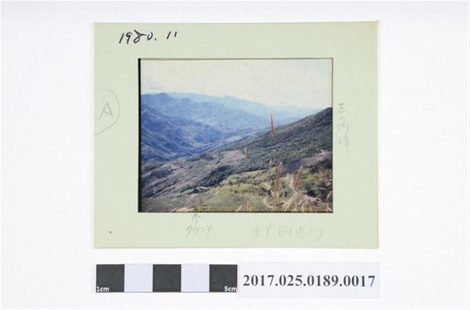 1980年道澤群附近之景像幻燈片 (共2張)