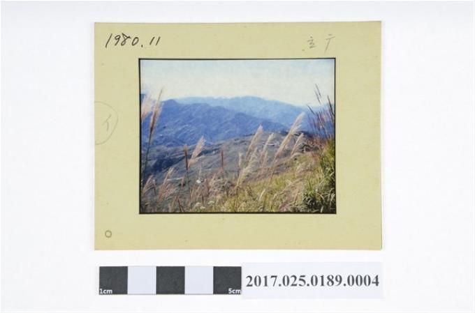 1980年自然風景幻燈片 (共2張)