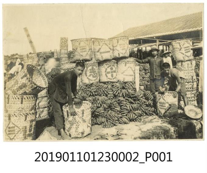 臺灣香蕉市場照片