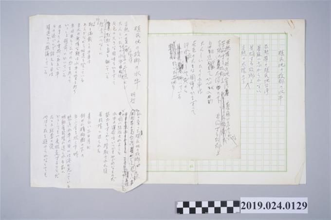 柯旗化詩作〈殖民地的故鄉的水牛〉日文手稿 (共2張)