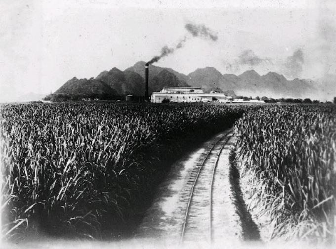 製糖會社農場