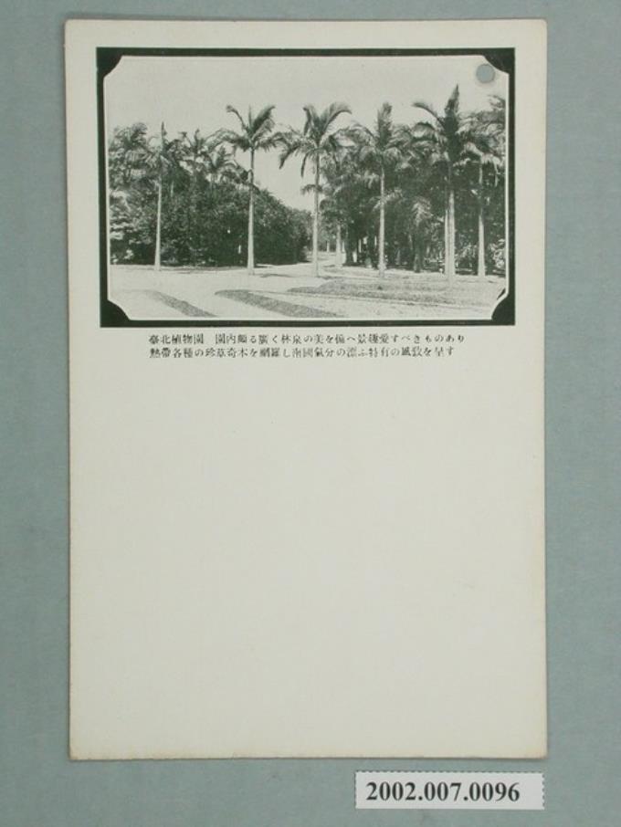 臺北植物園 (共2張)