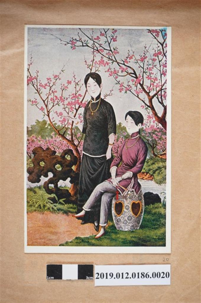 兩個女人與櫻花 (共2張)