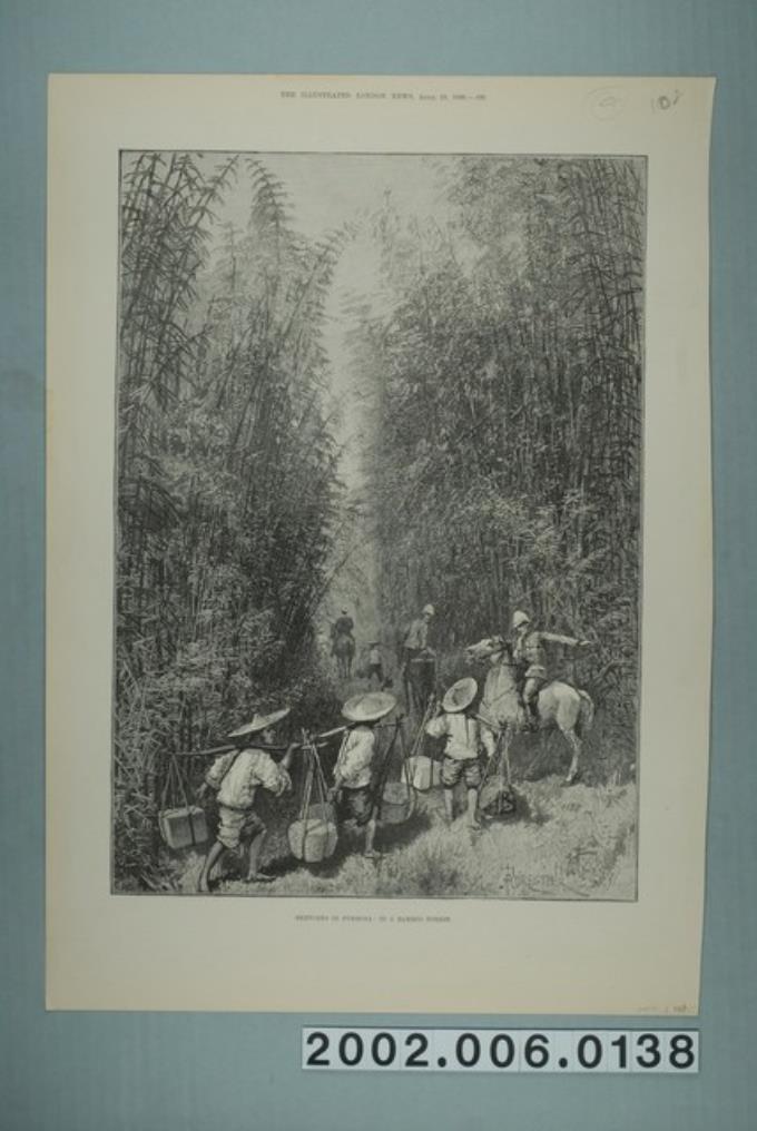1890年4月19日《倫敦新聞畫報》之〈福爾摩沙的竹林〉 (共4張)