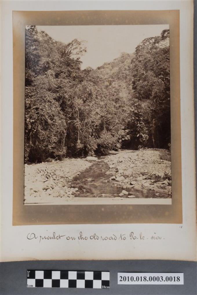 往埔里社舊路上的小溪 (共2張)