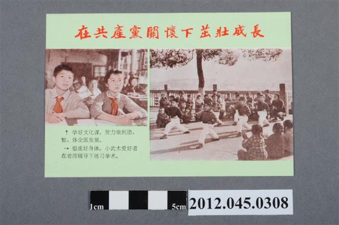 ｢在共產黨的關懷下成長茁壯｣中國共產黨對臺灣政治宣傳單 (共2張)
