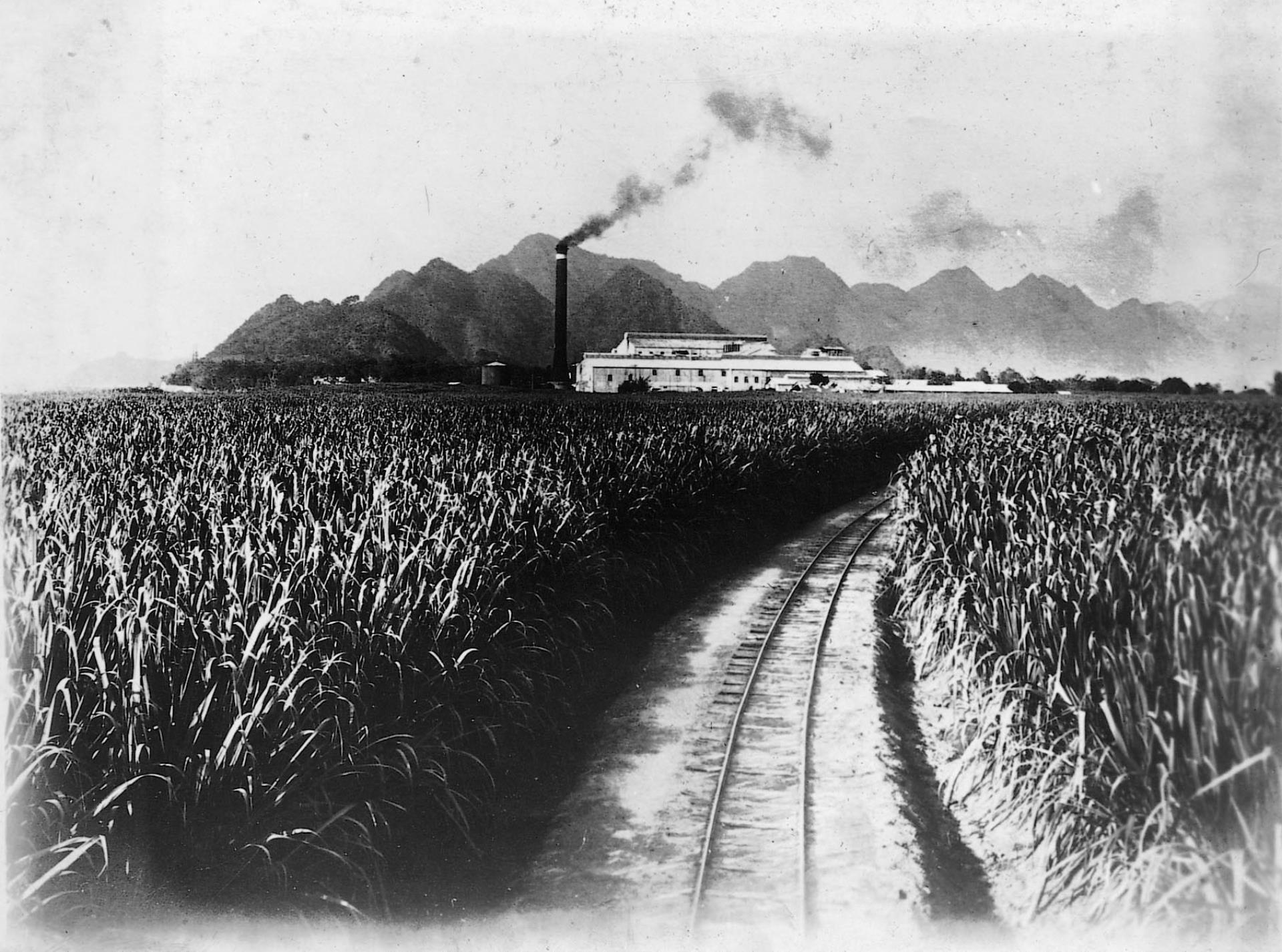製糖會社農場 (共2張)
