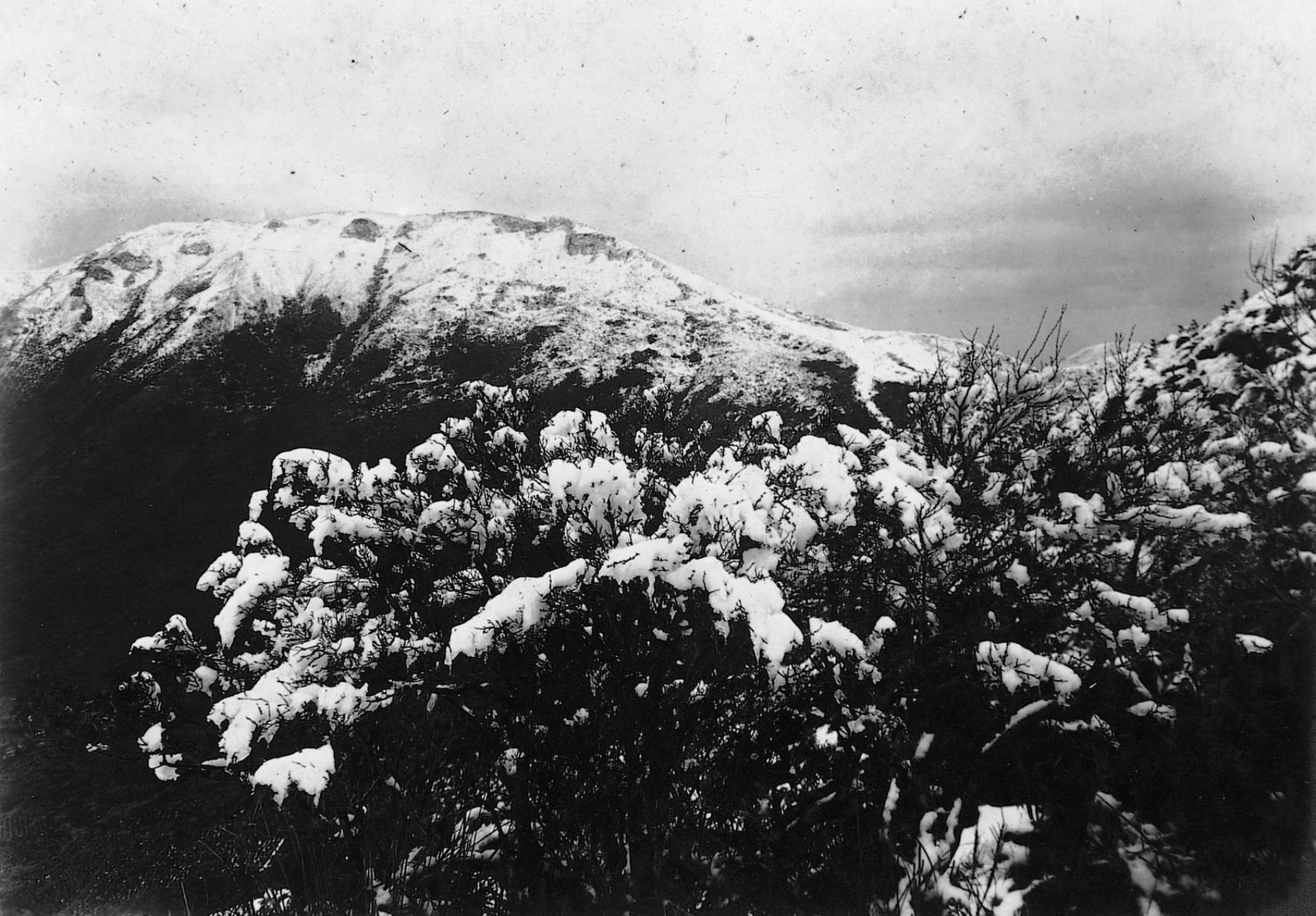 小觀音山的晚雪 (共2張)