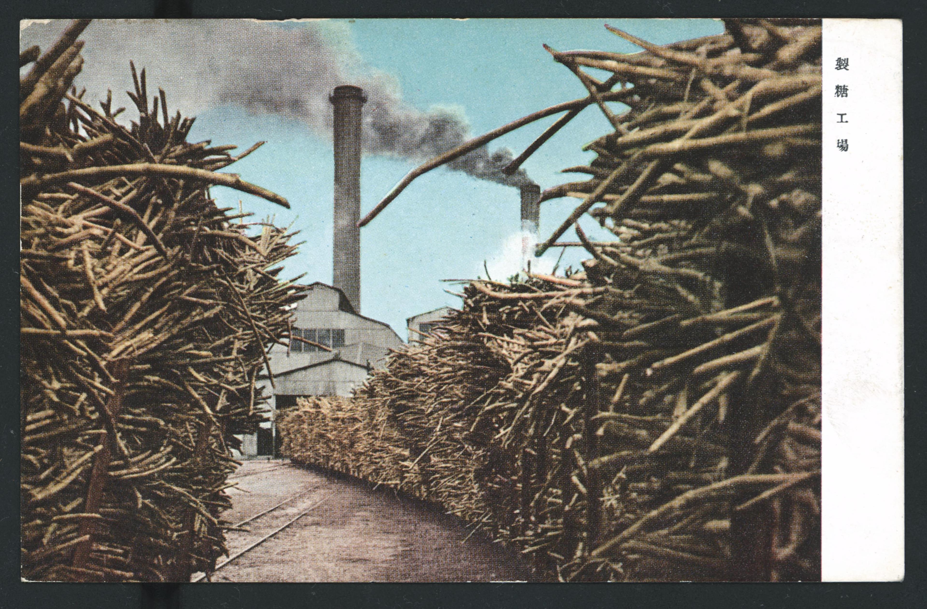 製糖工場 (共3張)