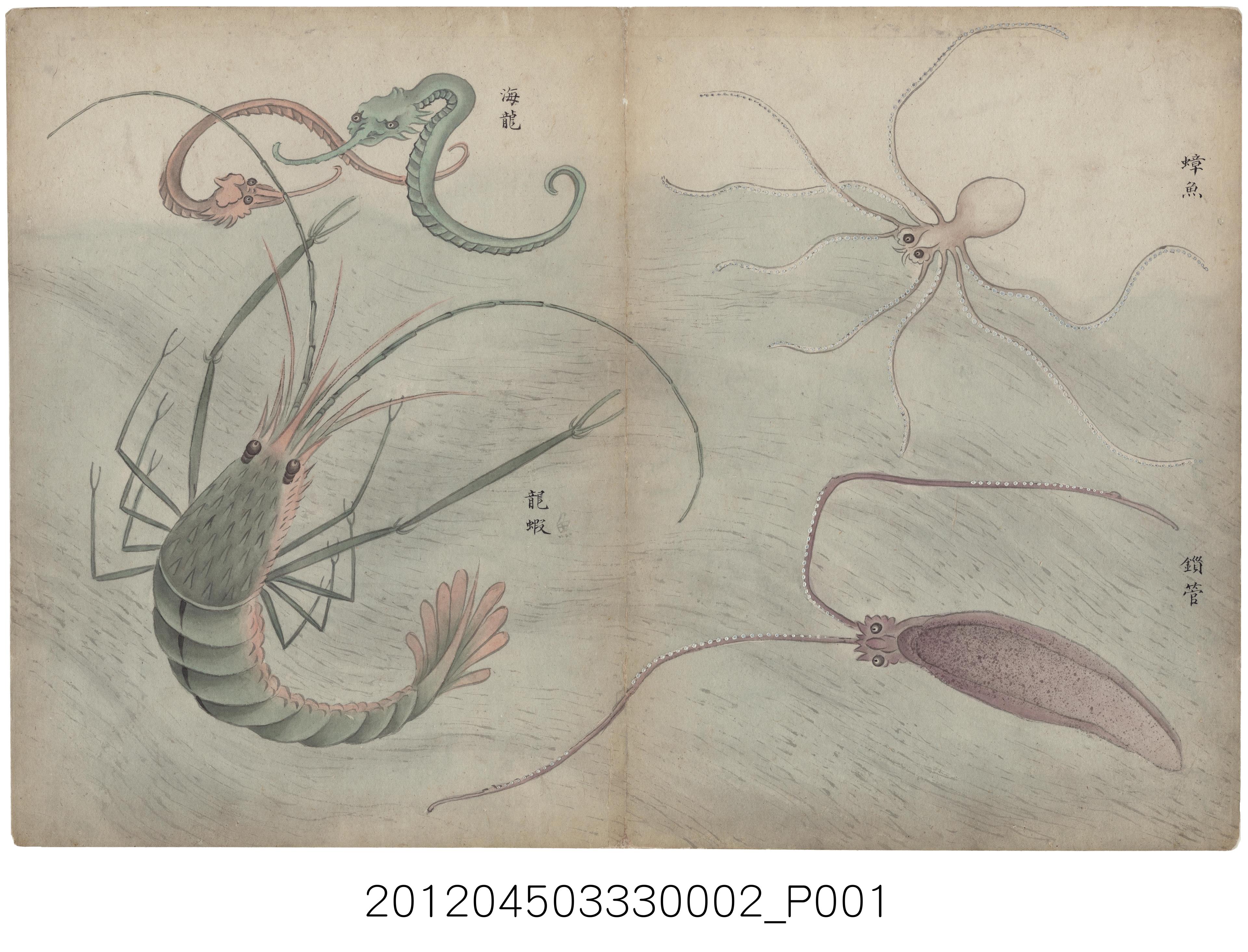 臺灣番社風俗圖之一〈蟑魚、海龍、錙管、龍蝦〉  (共1張)